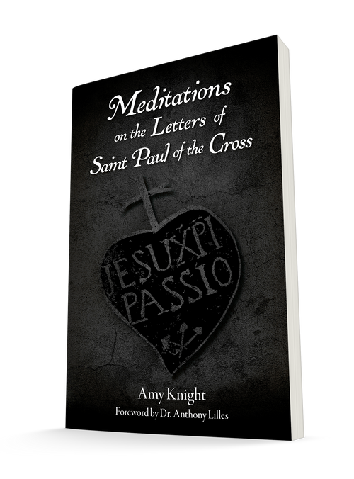 Meditations on the Letters of Saint Paul of the Cross