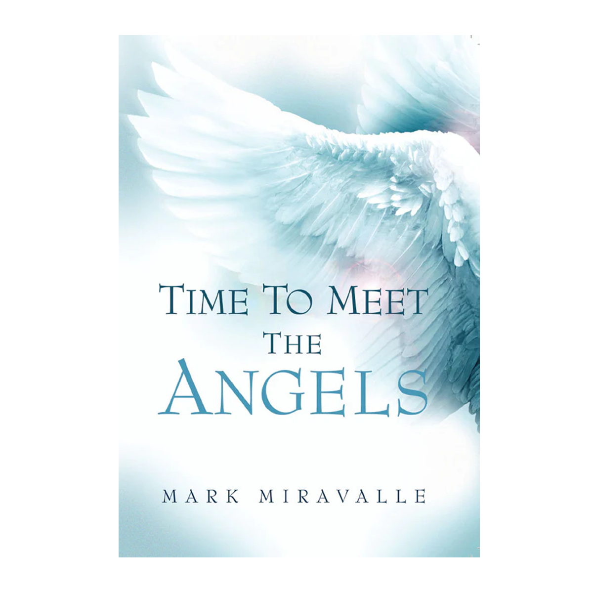 Time to Meet the Angels (ebook)