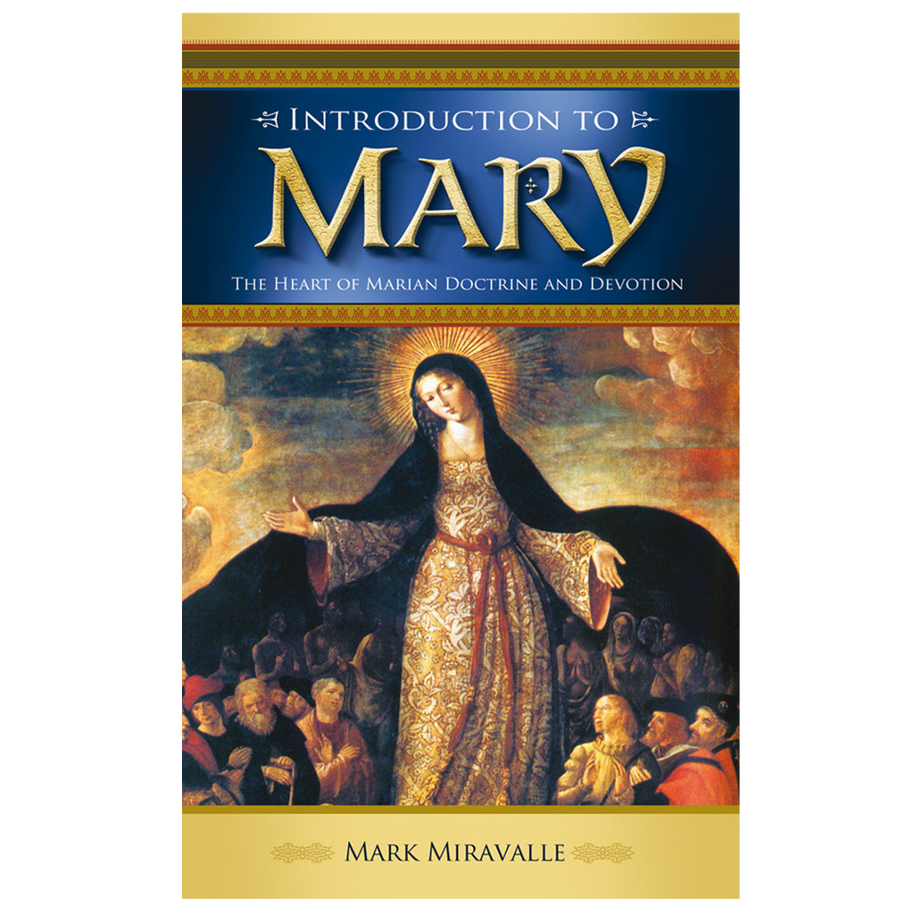 Introduction to Mary